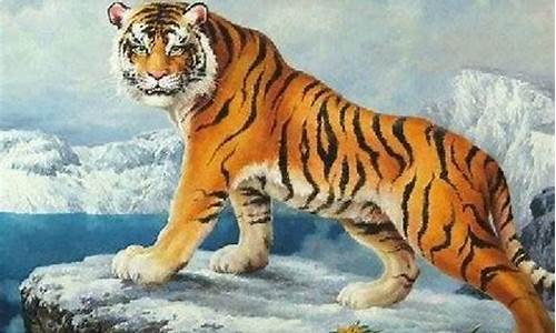 生肖属虎和属猴哪个厉害-生肖属虎和属猴哪个厉害一点