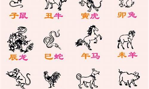 生肖龙有个属虎孩子好吗-属龙有个虎宝宝