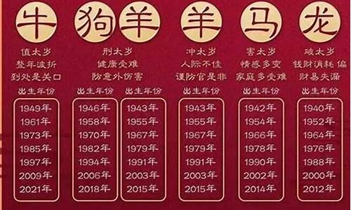 猪年属龙生肖运程-属猪的龙年