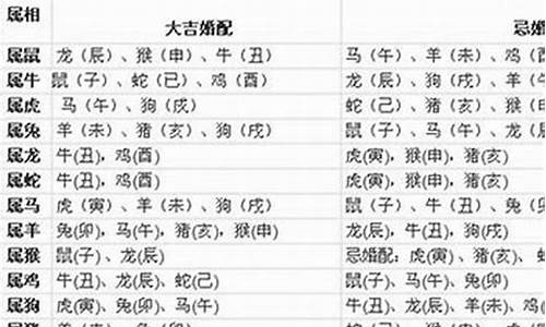 属猪和各生肖婚配-属猪和啥生肖配