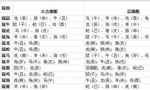 属猪和12生肖婚配-属猪和12生肖婚配好吗