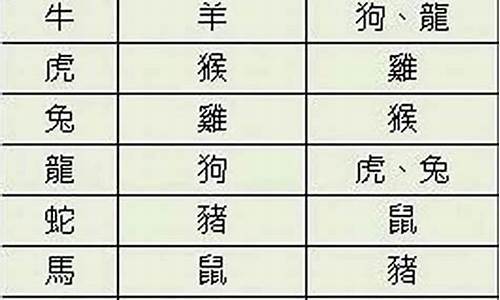 属马人婚配生肖猪-属马配属猪合适结婚吗