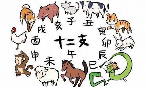 属猪打一动物生肖是-属猪的生肖