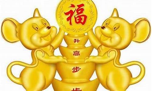 生肖属鼠适合哪些婚配-属鼠适合配什么生肖