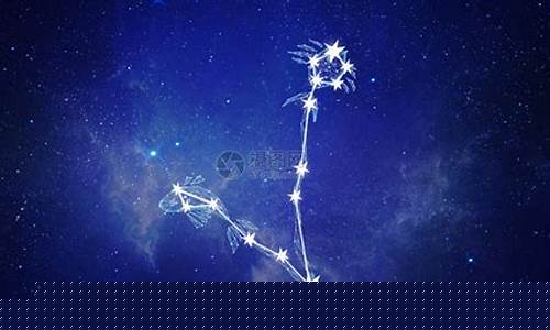 双鱼座变身-12星座双鱼座化身龙