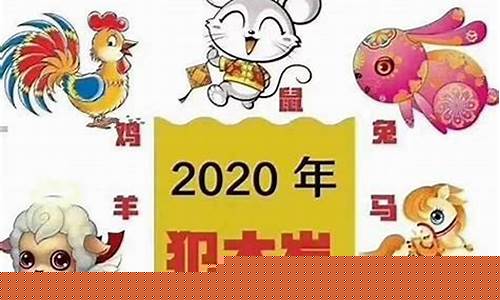 属鼠之徒指哪个生肖-不愧是属鼠的