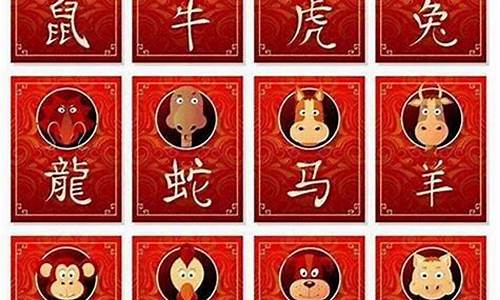 属猪配什么生肖最不好呢-属猪的人配什么生肖最好