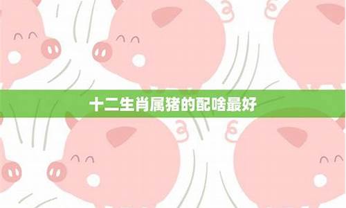 十二生肖属猪的最佳绝配-十二生肖属猪婚配表