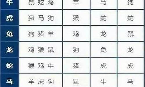 生肖鼠和属猪的婚姻配对-生肖鼠和猪婚姻相配吗