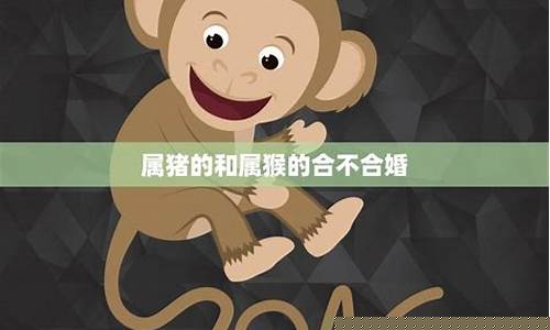 生肖属猴属猪合不合婚姻-生肖属猴属猪合不合婚姻女