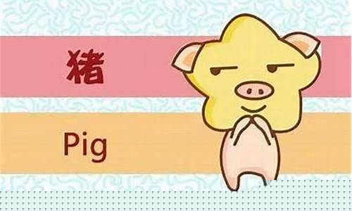 属猪人桃花运最旺的生肖-属猪的人桃花运怎么样