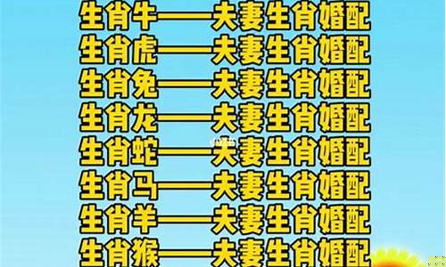 属鼠相克的生肖有哪些-属鼠人相克的属相
