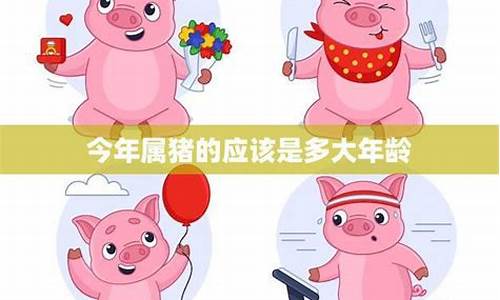 今年属猪带什么生肖招财-今年属猪佩戴什么转运