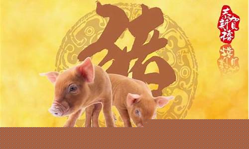 生肖属猪今年运势财运-属猪今年财运如何2022