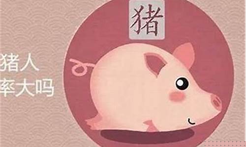71属猪的幸运数字是什么-71属猪命里喜什么生肖