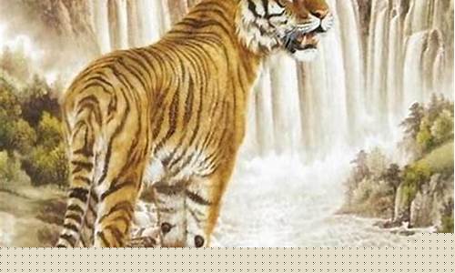 61岁属什么生肖2021-61虚岁属什么生肖虎