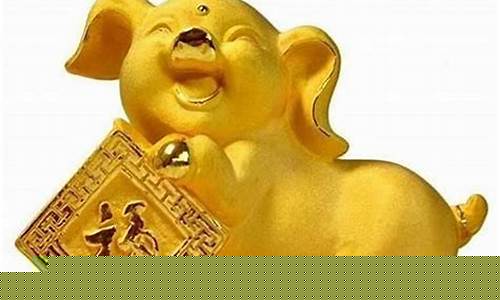 属猪人和什么生肖合财-属猪哪些生肖配合财运好