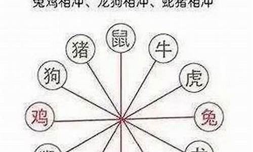 属鼠的和什么属相相冲,相害,相克-生肖属鼠的于什么相冲