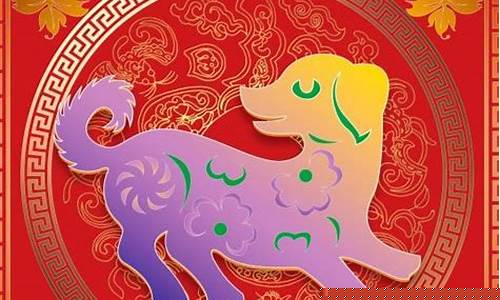 属猪人今年带什么生肖-属猪人今年带什么生肖最好