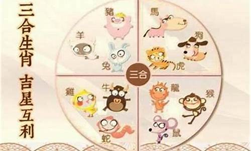 属鼠和猪属相合不合-生肖属鼠和属猪合吗