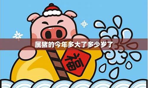 今年属猪是多少岁啊?-今年属猪生肖多少岁啦啊