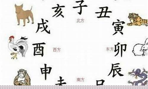 属虎和什么生肖相合-属虎和什么生肖相合相冲