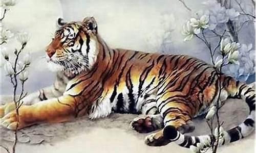 生肖属虎的出生年份是多少-生肖属虎的出生年份