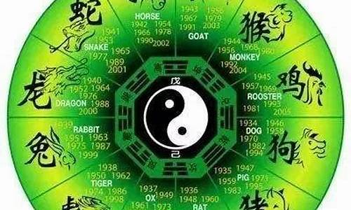 生肖属马的犯白虎-属马犯冲的生肖