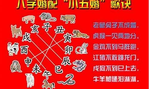 属虎应配什么生肖-属虎应配什么生肖好